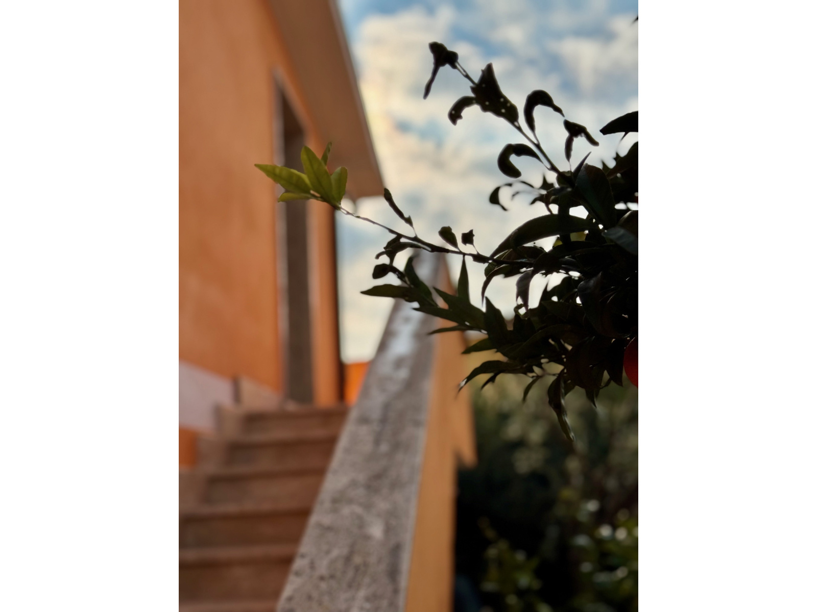 Foto 18