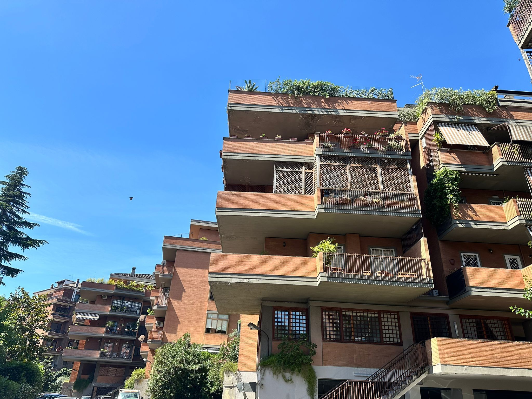 Appartamento - (roma) ponte milvio - 5 locali